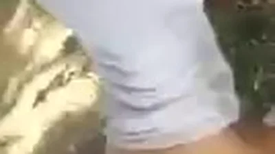 Polvo rápido en el bosque